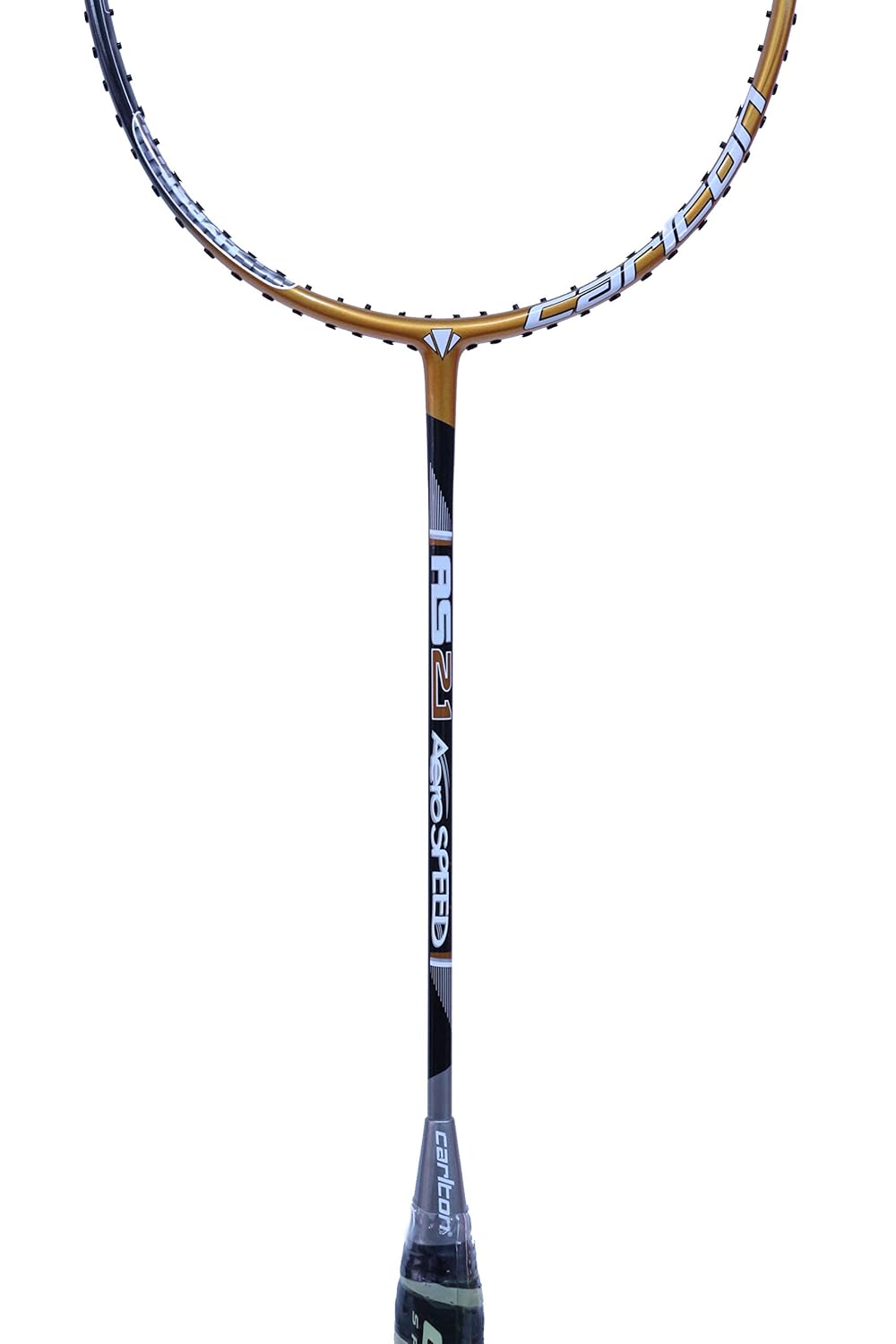CARLTON AERO SPEED AS 21